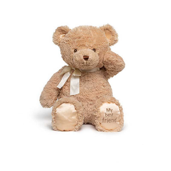 Teddy Bear Plush Toy