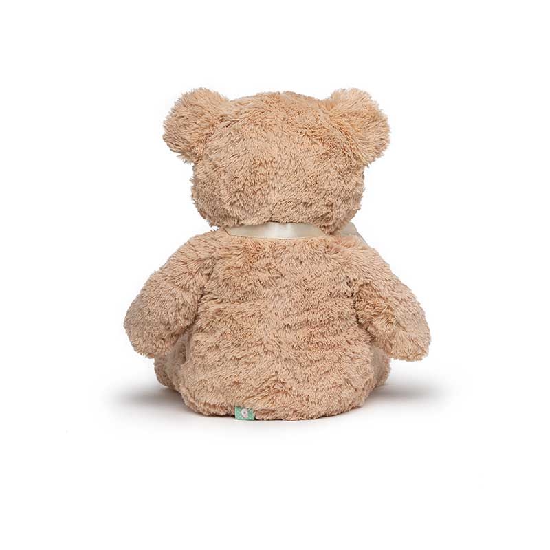 Teddy Bear Plush Toy