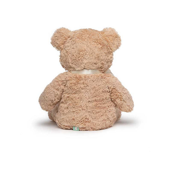 Teddy Bear Plush Toy