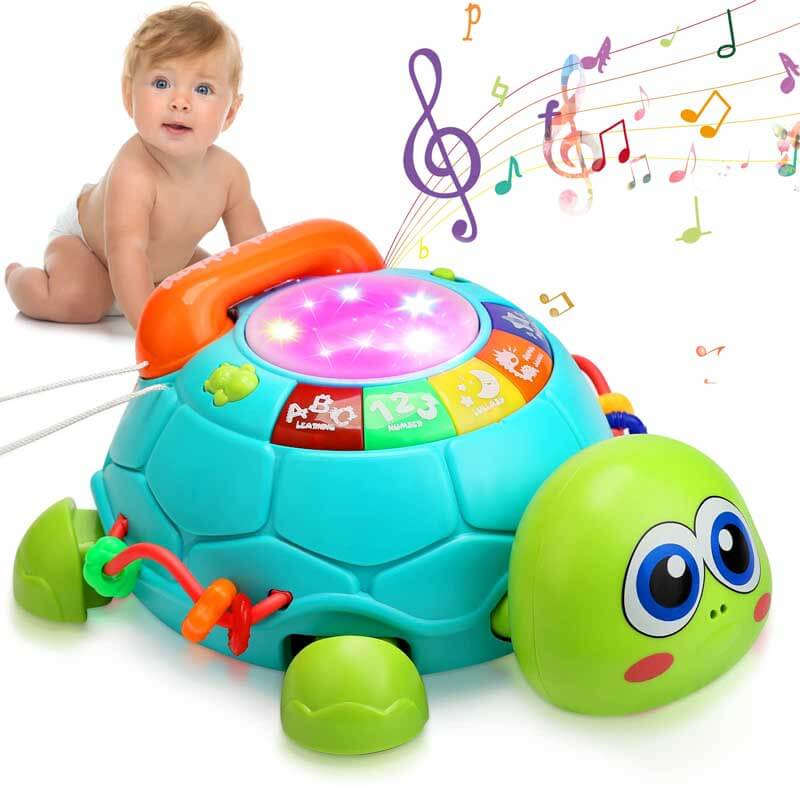 Musical Turtle Crawling Toy