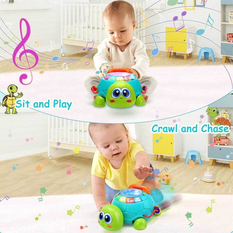 Musical Turtle Crawling Toy