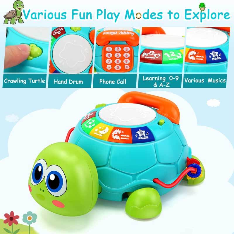 Musical Turtle Crawling Toy