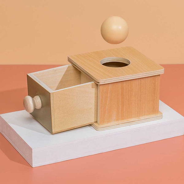 Montessori Wooden Box Toys