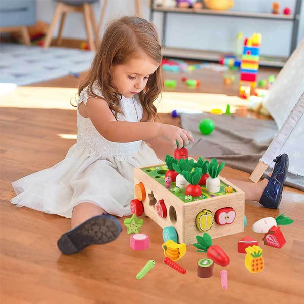 Montessori Wooden Farm