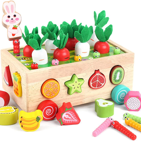 Montessori Garden Shape Sorter