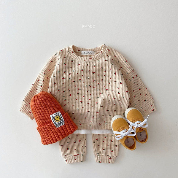 Sweet berry Toddler Clothes Set